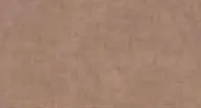 仿古浅棕涂装色卡