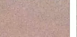 黄金锈涂装色卡