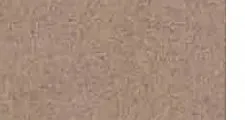 卡拉麦里金小花涂装色卡