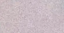 山东白麻涂装色卡