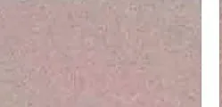 一品红涂装色卡